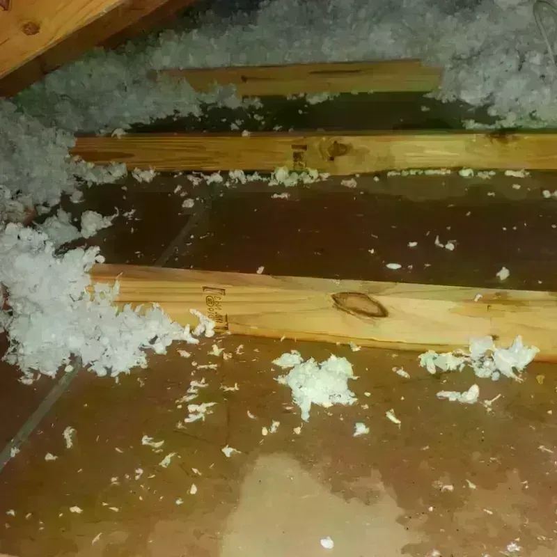 Attic Water Damage in Morton, PA