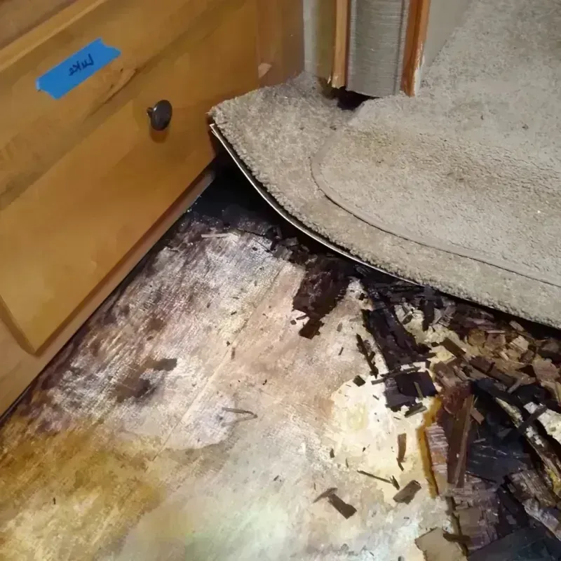 Best Wood Floor Water Damage Service in Morton, PA